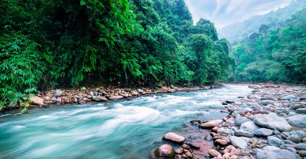 Climate change may have altered river flow worldwide - Earth.com